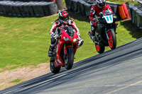 Oulton-Park-20th-March-2020;PJ-Motorsport-Photography-2020;anglesey;brands-hatch;cadwell-park;croft;donington-park;enduro-digital-images;event-digital-images;eventdigitalimages;mallory;no-limits;oulton-park;peter-wileman-photography;racing-digital-images;silverstone;snetterton;trackday-digital-images;trackday-photos;vmcc-banbury-run;welsh-2-day-enduro